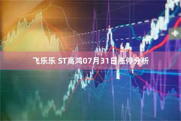 飞乐乐 ST高鸿07月31日涨停分析